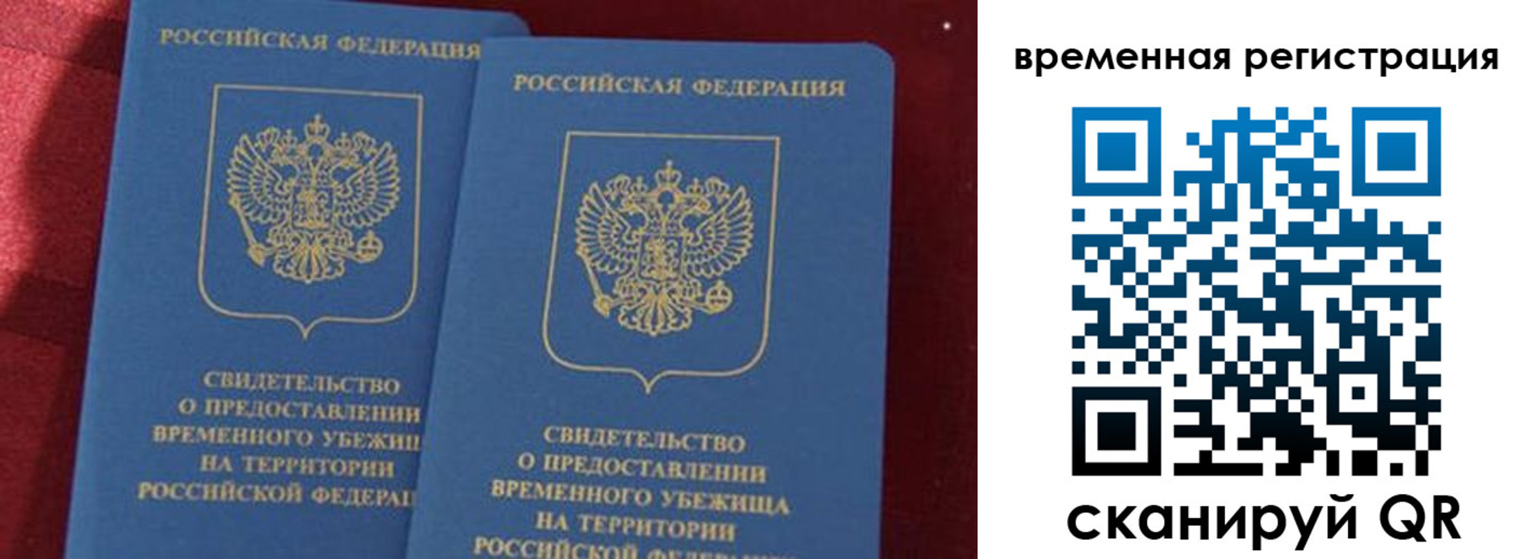 временная регистрация гарантия в Жукове